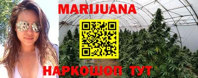 прущие грибы Уссурийск