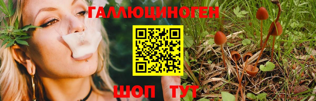 Псилоцибиновые грибы ЛСД  Вход с VPN  где продают   Моршанск 