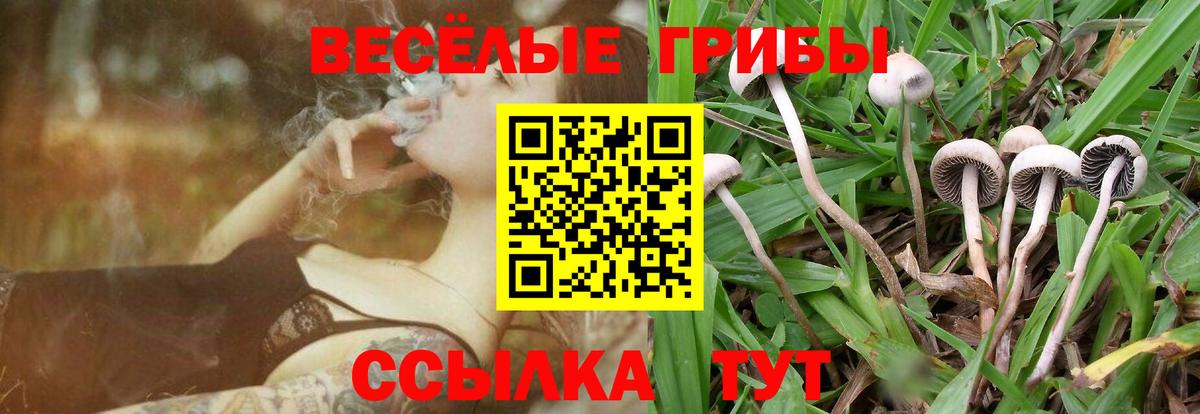 Галлюциногенные грибы мухоморы Моршанск
